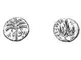 Trajan coin, recast, copper, Jewish, c 134 AD. Left: `Simon` (Bar Cochba), palm. Right: `Deliverance of the Almighty`, vine branch